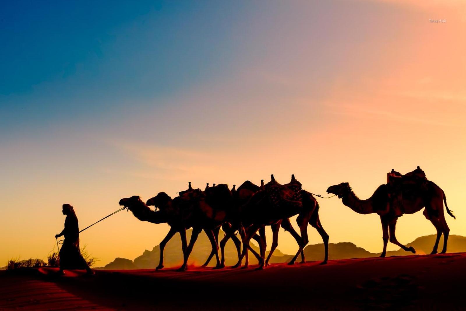 Scarlet Luxury Camp Wadi Rum Exterior foto